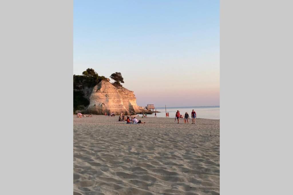 Maison Au Coeur De Meschers - Proche Des Plages Εξωτερικό φωτογραφία